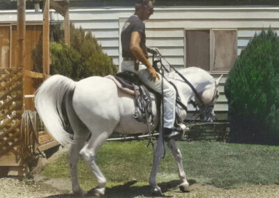 Man on white horse